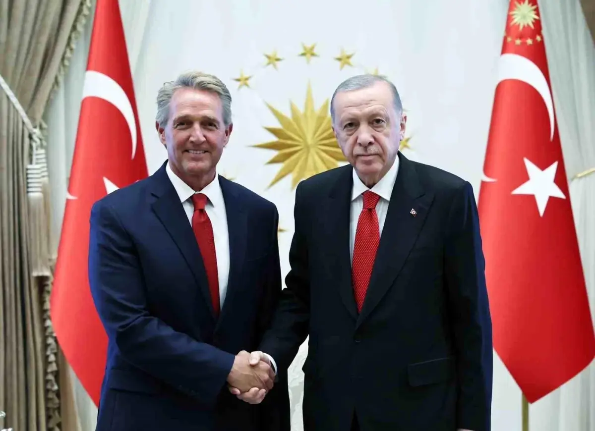 Cumhurbaşkanı Erdoğan, ABD Büyükelçisi Jeff Flake'i kabul etti