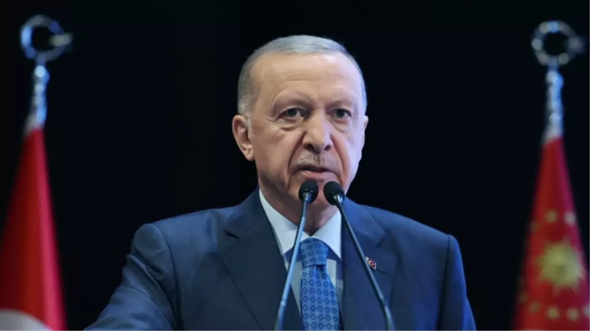 Erdoğan: Yangına müdahalede geç kaldılar, hesap vermesi gerekenler yerel yönetimlerdir