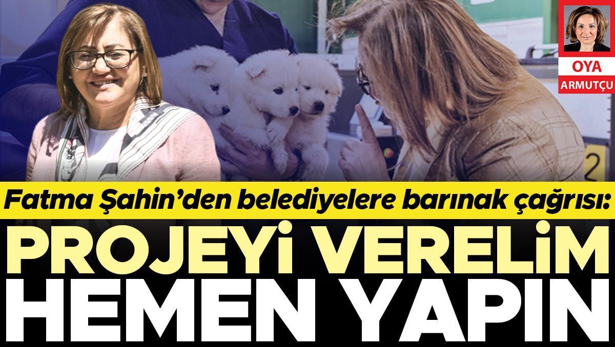 Fatma Şahin’den belediyelere barınak çağrısı: Projeyi verelim hemen yapın