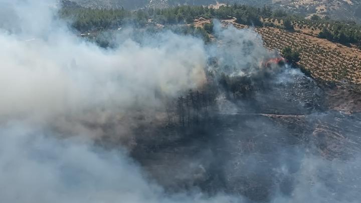 Hatay’da orman yangını! Havadan ve karadan müdahale ediliyor