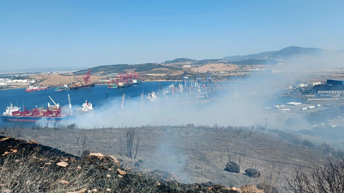 İzmir Aliağa'da Ormanlık Alanda Yangın Çıktı