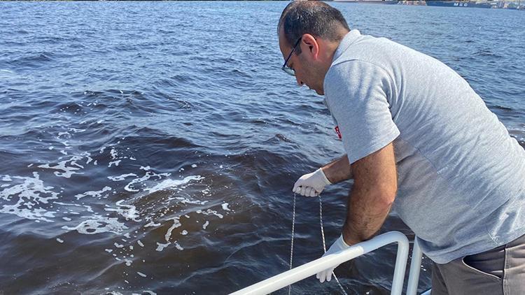 İzmir Körfezi'ndeki balık ölümlerine ilişkin inceleme