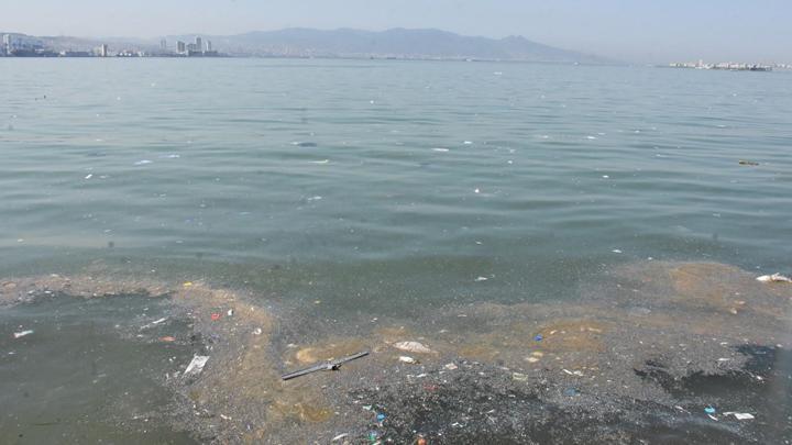 İzmir'de tedirgin eden görüntü: Ölü balıklar kıyıya vurdu