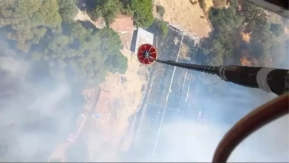 İzmir'in Bergama ilçesinde fıstık çamlıklarında yangın çıktı