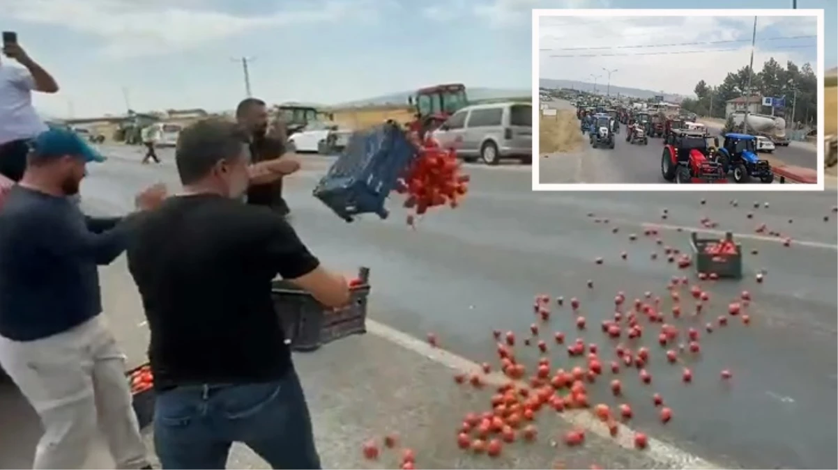 Kahramanmaraş'ta çiftçiler eylem yaptı! Kasa kasa domatesi yola döktüler