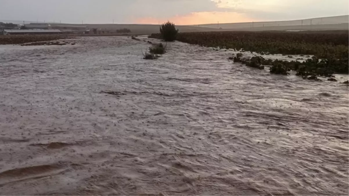 Konya'nın Yunak ilçesini şiddetli sağanak vurdu, tarım arazilerini su bastı