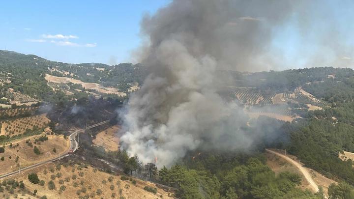 Manisa ve Çanakkale'de orman yangını: Havadan ve karadan müdahale ediliyor