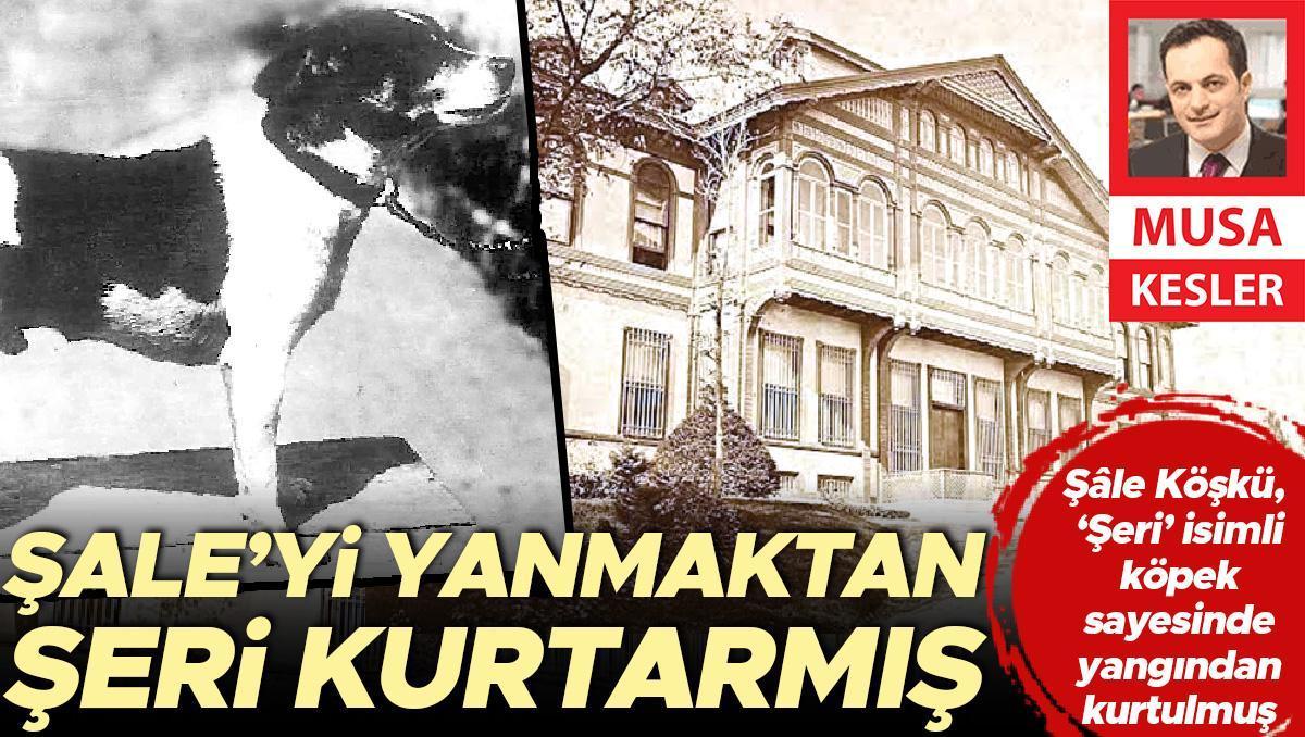 Şâle’yi yanmaktan Şeri kurtarmış