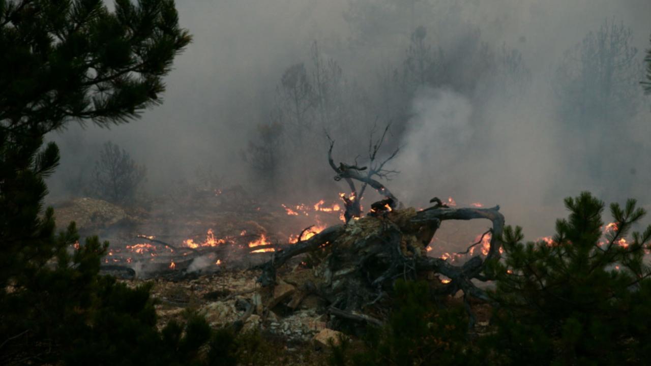 Son dakika... Bolu'da bir yangın daha