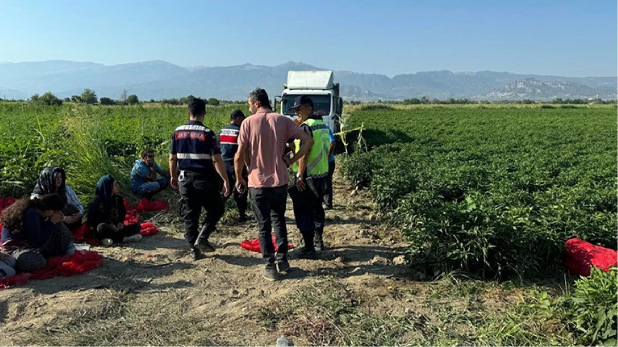 Tarlada uyuyakalan küçük kız kamyonun altında can verdi, yakınları şoförü vurarak öldürdü