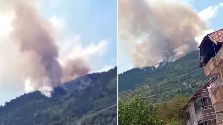 Zonguldak Devrek'te orman yangını: Havadan ve karadan müdahale ediliyor