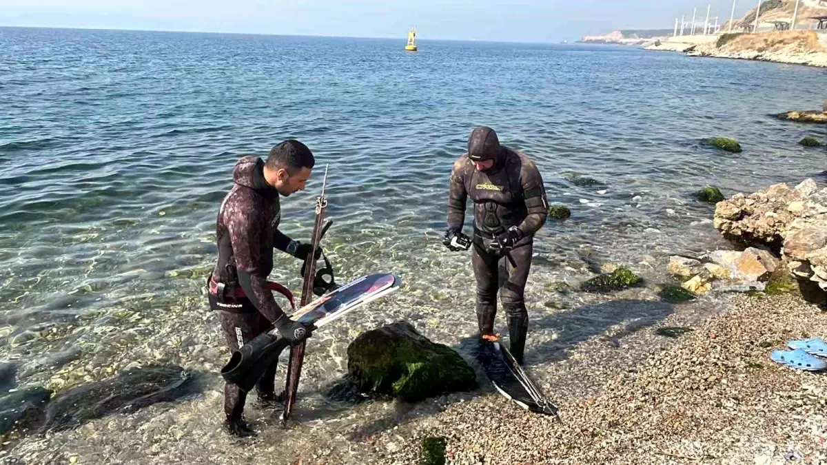 Ağırlığı tam 320 kilogram! Marmara'da nadir görülen mavi yüzgeçli orkinos avlandı