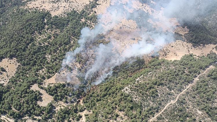 Antalya Kaş'ta orman yangını