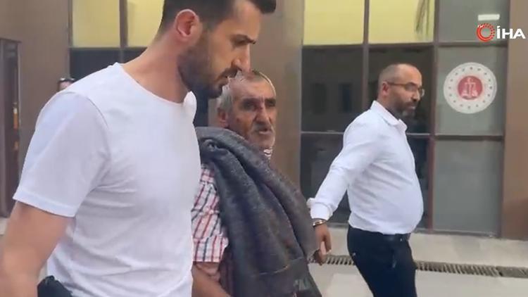 Bakırköy'de köpeğe istismarda bulunan şahıs hakim karşısına çıktı