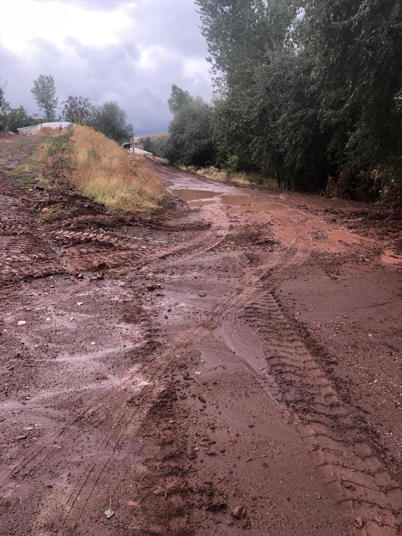 Bitlis'in Ahlat ilçesinde sağanak sele neden oldu