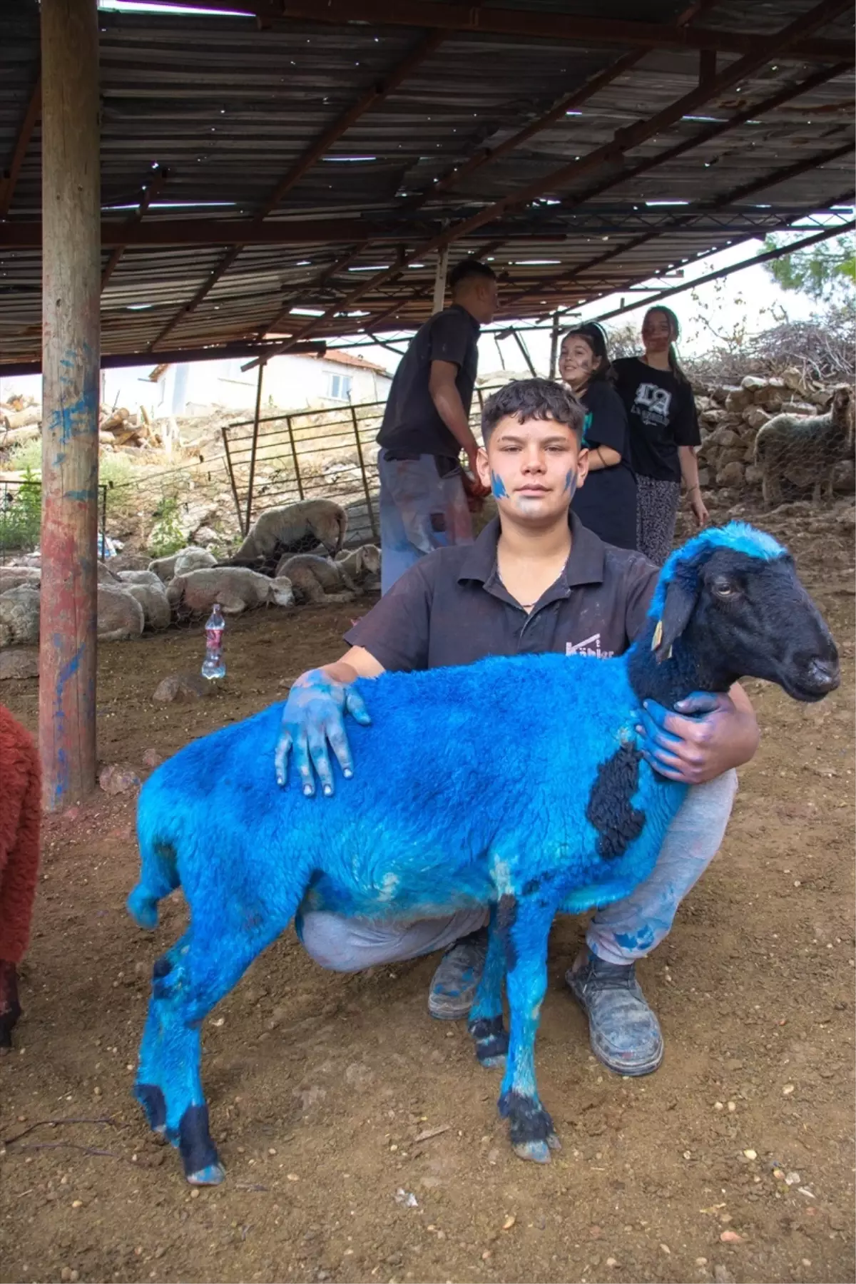 Burdur'da 7 asırlık gelenek: Yünüm Böğet