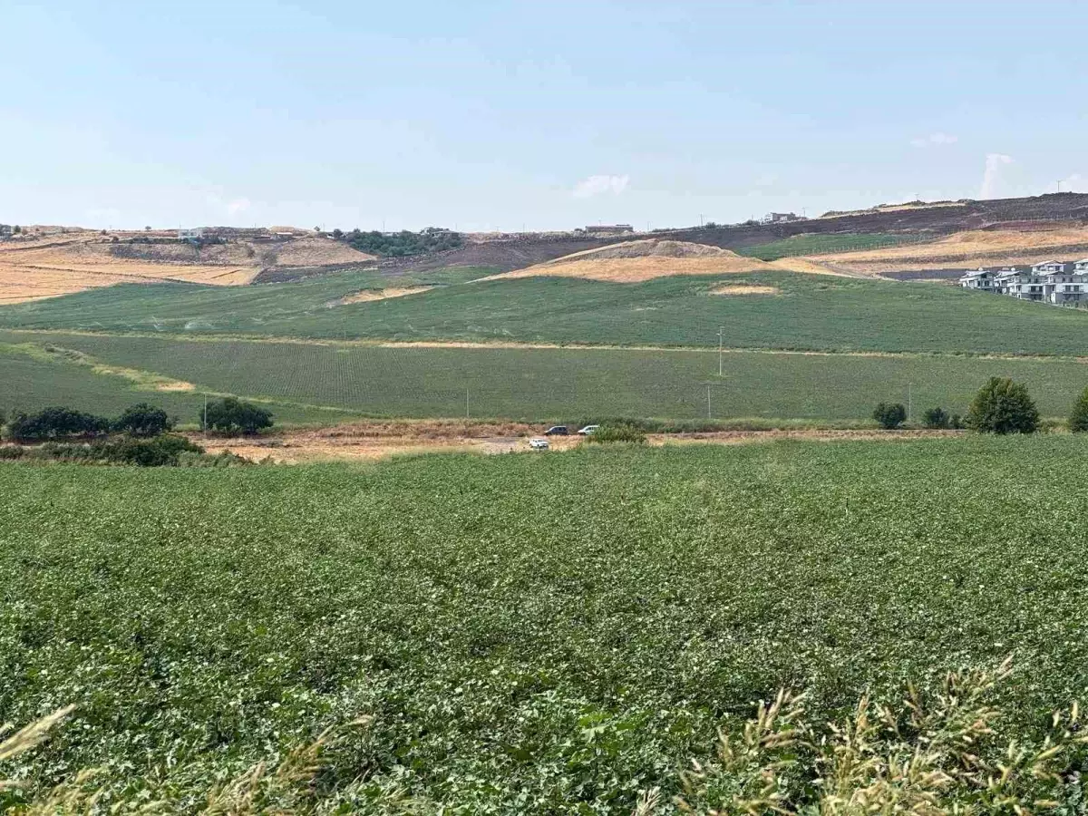 Diyarbakır'da kaybolan 8 yaşındaki Narin Güran'ın cansız bedeni bulundu