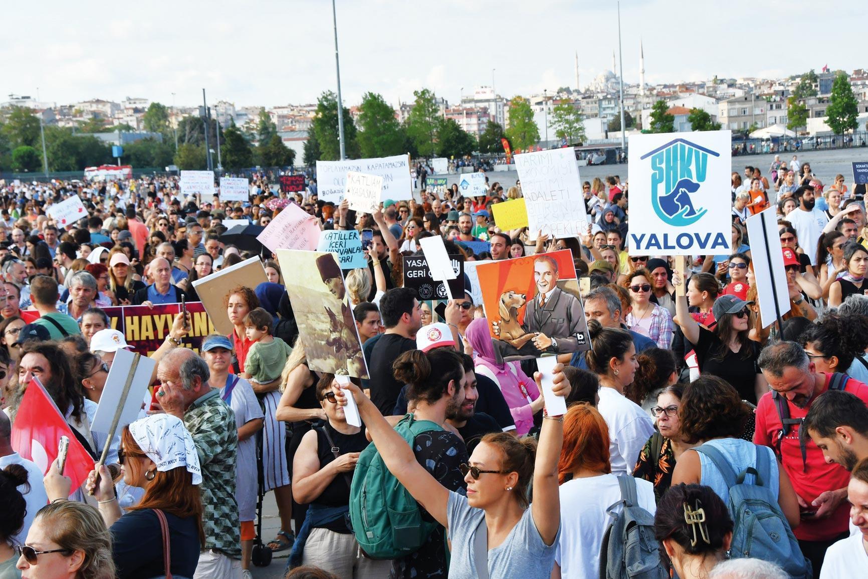 Hayvanseverler Yenikapı'da buluştu