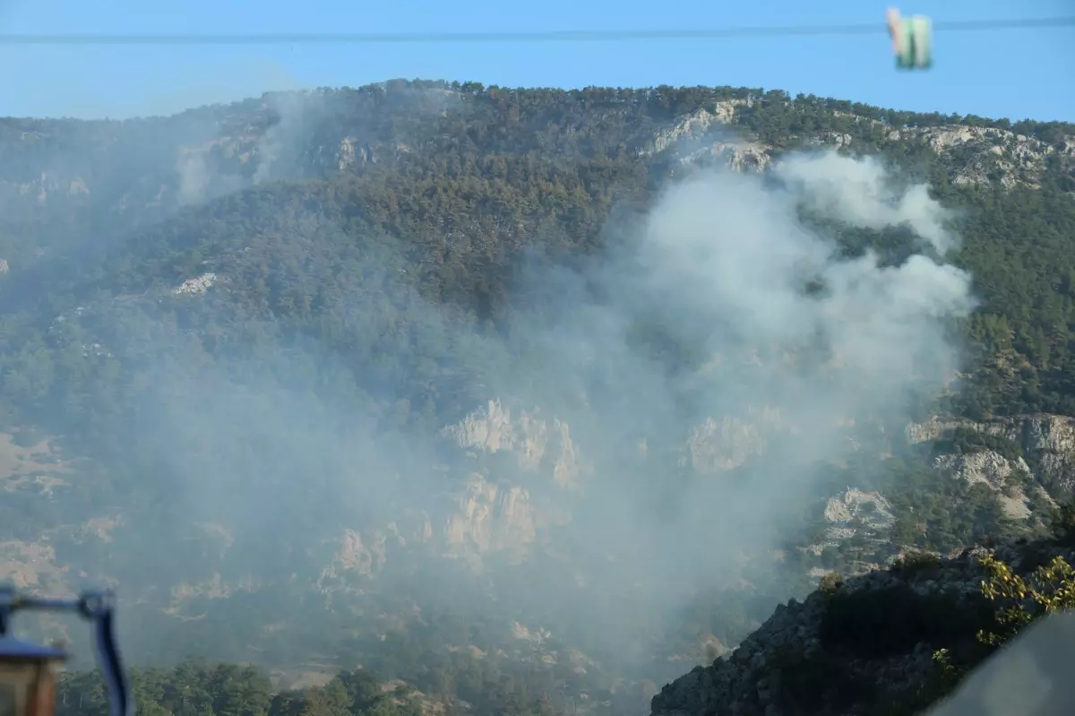 Muğla'daki orman yangınına hava araçları müdahale ediyor