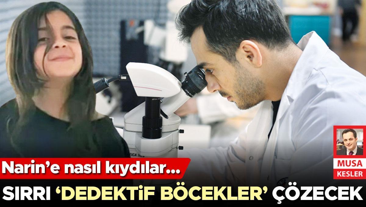 Narin’e nasıl kıydılar... Sırrı ‘dedektif böcekler’ çözecek