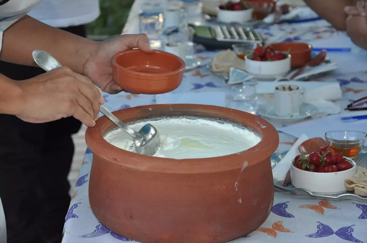 Silifke Yoğurdu Yarışması Renkli Görüntülere Sahne Oldu