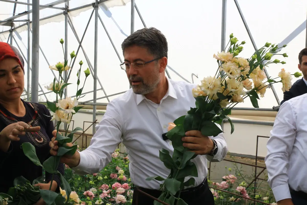 Tarım ve Orman Bakanı Yumaklı, Kesme Çiçek Seralarını Gezdi