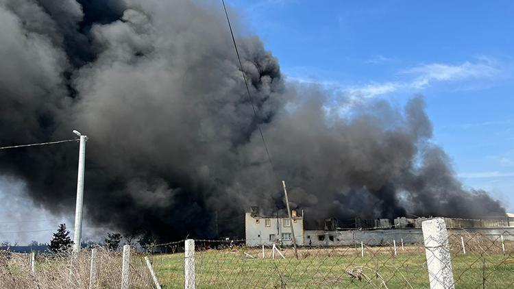 Tekirdağ'da fabrika yangını: Ekipler müdahale ediyor