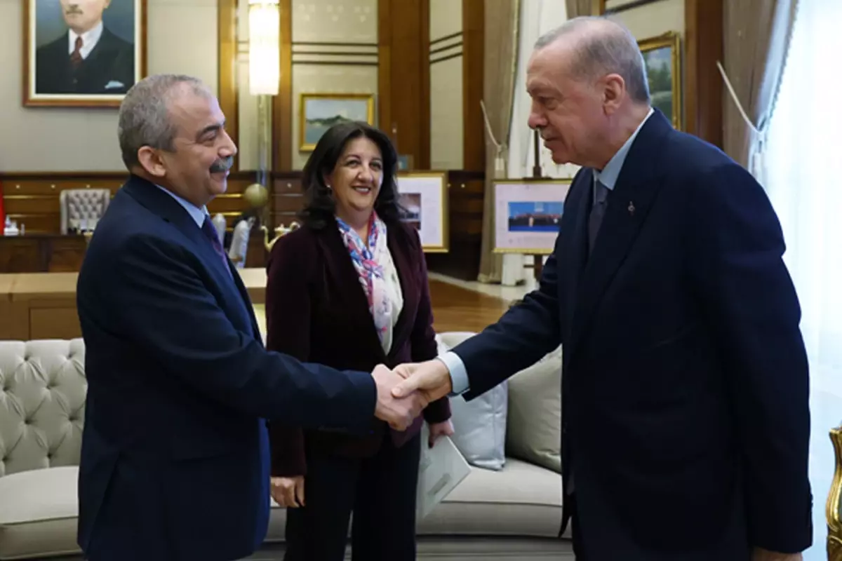 Cumhurbaşkanı Erdoğan'dan Sırrı Süreyya Önder talimatı